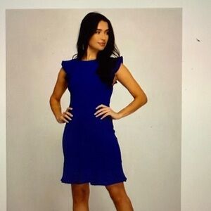 NWT—Nora Gardner—Vivienne Dress—Elegant Blue Ruffle Sleeve Dress